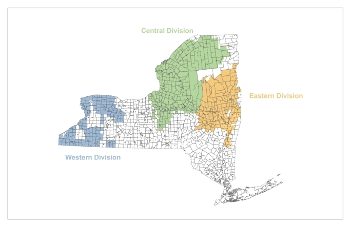 NY Divisions